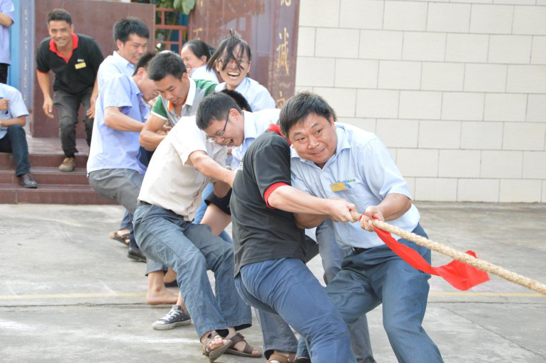 拔河活動4 拔河活動4